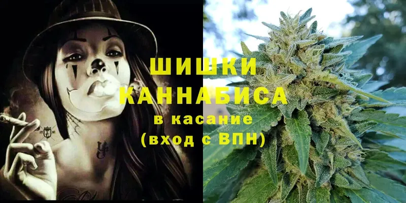 Шишки марихуана Amnesia  мега вход  Заводоуковск 